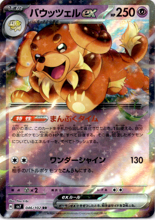 داشسبُن ex 046/102